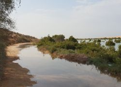 Khor Al Beidah in Umm Al Quwain