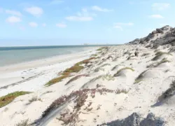 Dragon Island in Dakhla