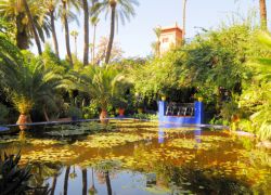 Majorelle Garden