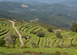 Monchique Mountains in Algarve