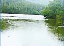 Pakhal Lake,Lakes & River in Andhra Pradesh,Pakhal