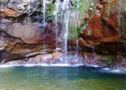 Levada do Risco in Calheta