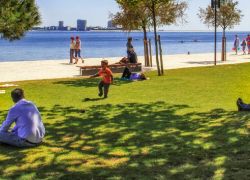 Parque Urbano de Albarquel in Setubal