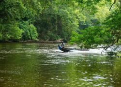Taman Negara National Park in Sabah