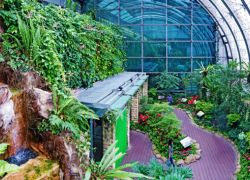 Butterfly Garden in Changi