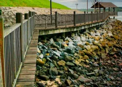 Changi Boardwalk in Changi