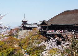 Kiyomizu Dera in Kyoto