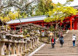 Kasuga Taisha Shrine