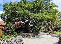 Taketomi Island in Okinawa