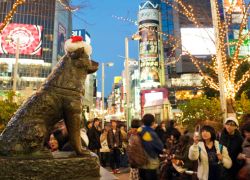 Hachiko Statue in Tokyo