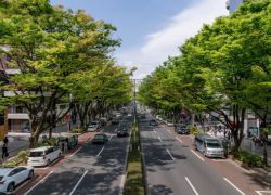 Omotesando in Tokyo