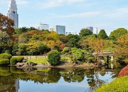 Shinjuku Gyoen in Tokyo