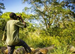 Arabuko Sokoke National Park in Mombasa