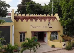 Mombasa Butterfly House in Mombasa