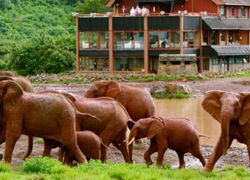 Aberdare National Park