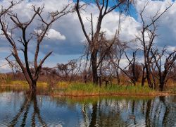 Lake Baringo