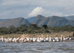 Lake Elmenteita