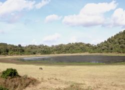 Marsabit National Park