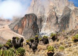 Mount Kenya National Park