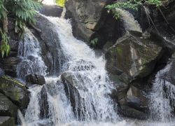 Oloolua Nature Trail