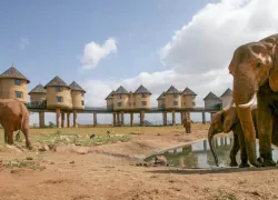 Tsavo National Parks