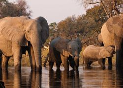 Marsabit National Park in Marsabit