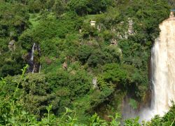Aberdare National Park in Nyeri