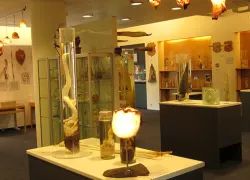 Icelandic Phallological Museum in Reykjavík