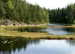 Nuuksio National Park in Helsinki