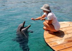 Dolphin Reef in Eilat