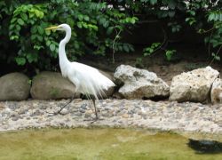 Barranquilla Zoo in Barranquilla