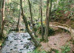 Metrocable and Parque Arvi in Medellín