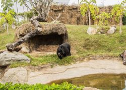 Ukumari Biopark in Pereira