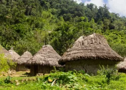 Lost City in Santa Marta