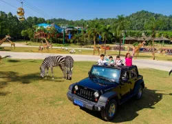 Chimelong Safari Park in Guangzhou