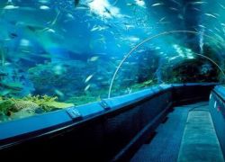 Shanghai Ocean Aquarium in Shanghai