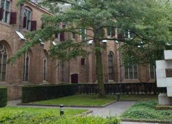 St. Catherine’s Convent Museum in Utrecht