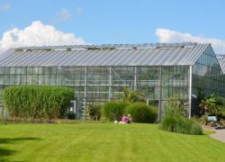Utrecht University Botanic Gardens in Utrecht