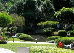 Dar es Salaam Botanical Garden in Dar-es-Salaam