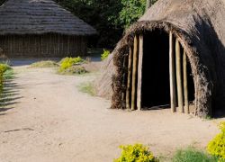 Makumbusho Village Museum
