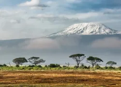 Long Walking Safaris in Kilimanjaro