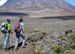 Mountain Climbing in Kilimanjaro