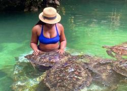 Mnarani Marine Turtles Conservation Pond in Zanzibar