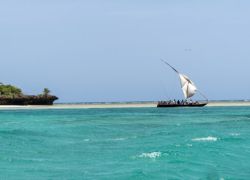 Mombasa Island in Tanga