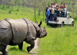 Bardia National Park in Chitwan