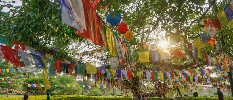 Bodhi Tree,Lumbini