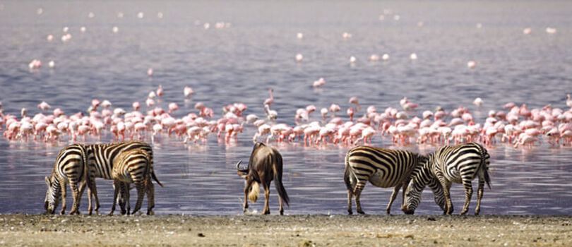Lake Manyara National Park