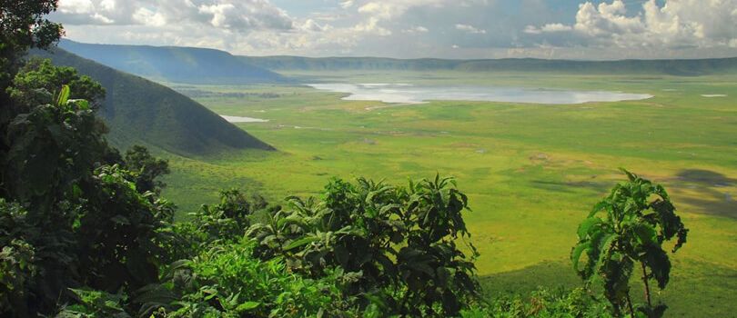 Ngorongoro Crater