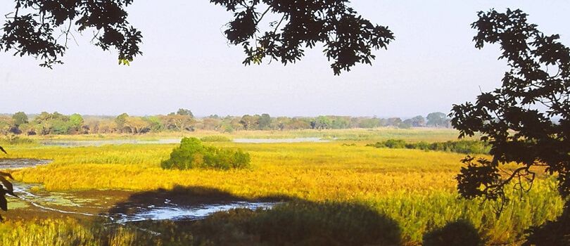 Kasanka National Park