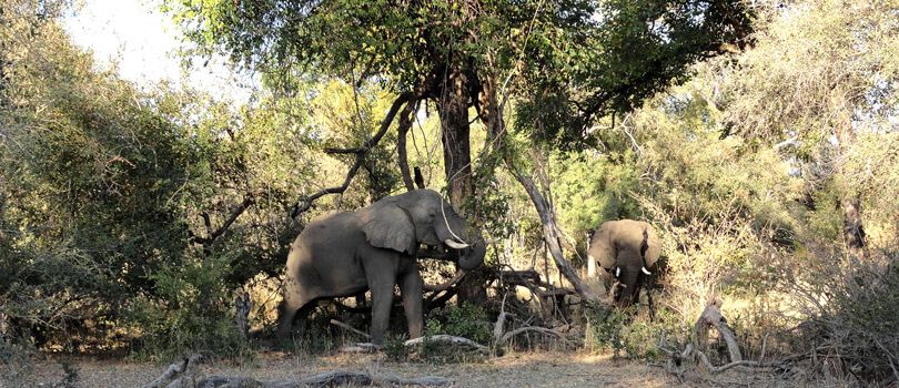 Mosi-oa-Tunya National Park